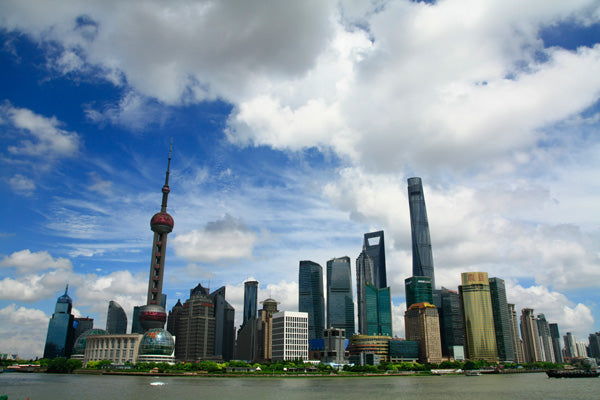 Discovering Adventure: Tom goes to Shanghai