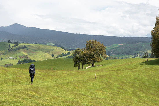 One Long Wander: Back on the track