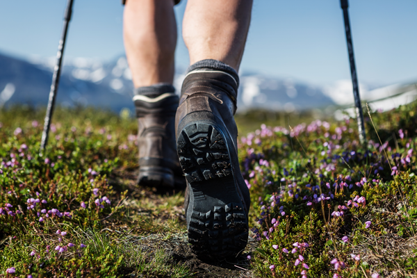 Discovering Adventure: Fuelling long walks
